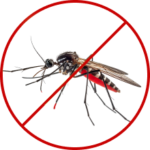 Mosquito Control