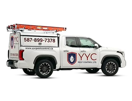 Years of Trusted Pest Control Service in Calgary.