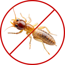 Ant Control